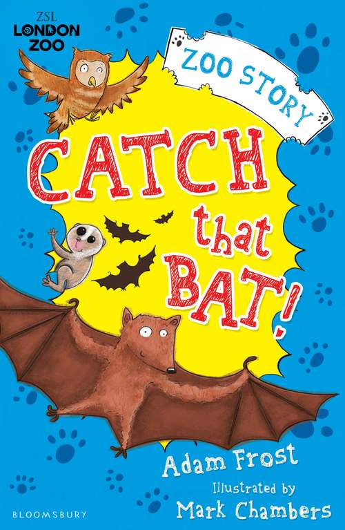 Book cover of Catch That Bat!