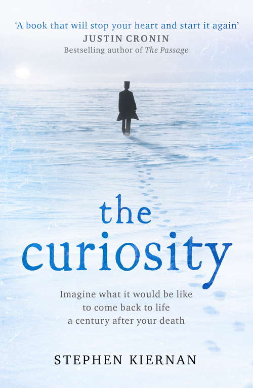 Book cover of The Curiosity: A Novel