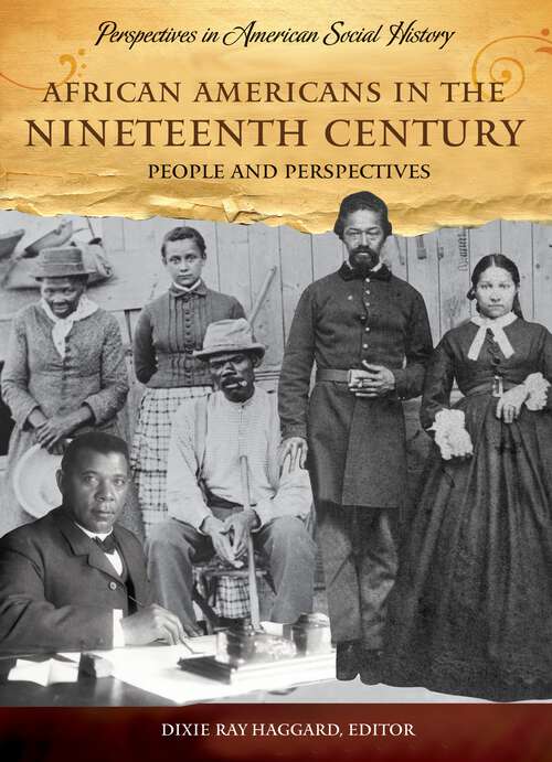 Book cover of African Americans in the Nineteenth Century: People and Perspectives (Perspectives in American Social History)