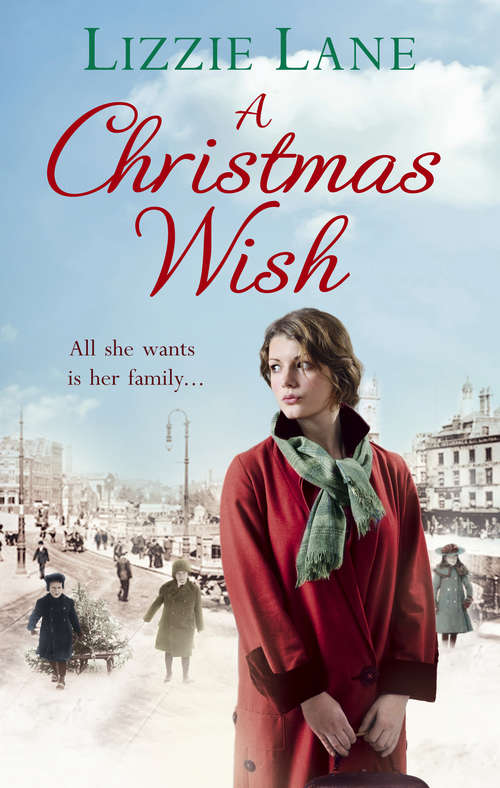 Book cover of A Christmas Wish