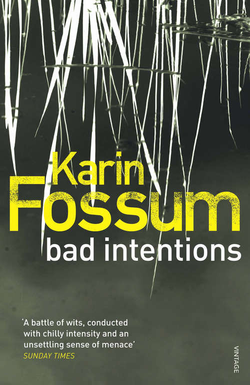 Book cover of Bad Intentions (Inspector Sejer)