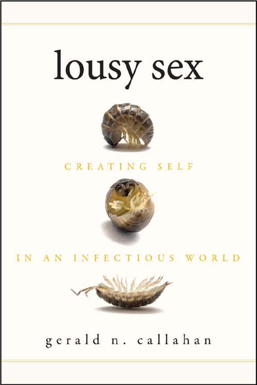 Book cover of Lousy Sex