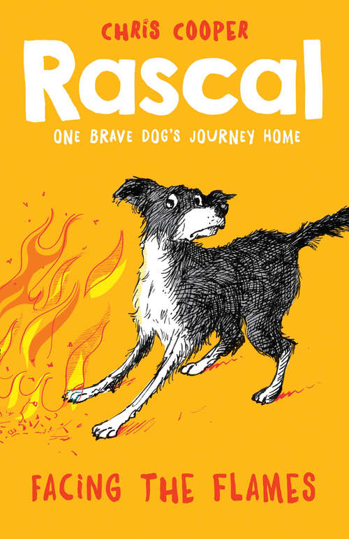 Book cover of Rascal: Facing the Flames (Rascal #4)