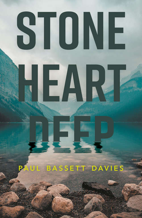 Book cover of Stone Heart Deep
