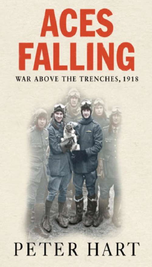 Book cover of Aces Falling: War Above The Trenches, 1918