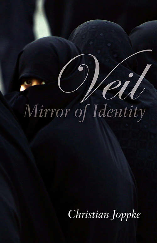 Book cover of Veil: Mirror Of Identity