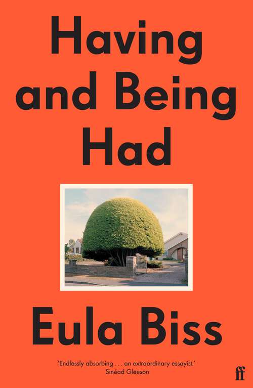 Book cover of Having and Being Had (Main)