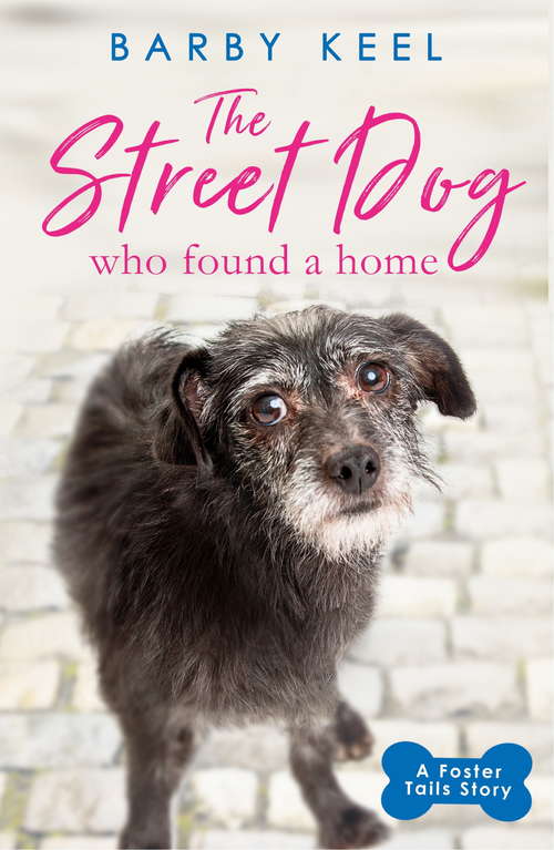 Book cover of The Street Dog Who Found a Home: A Foster Tails Story (A Foster Tails Story)
