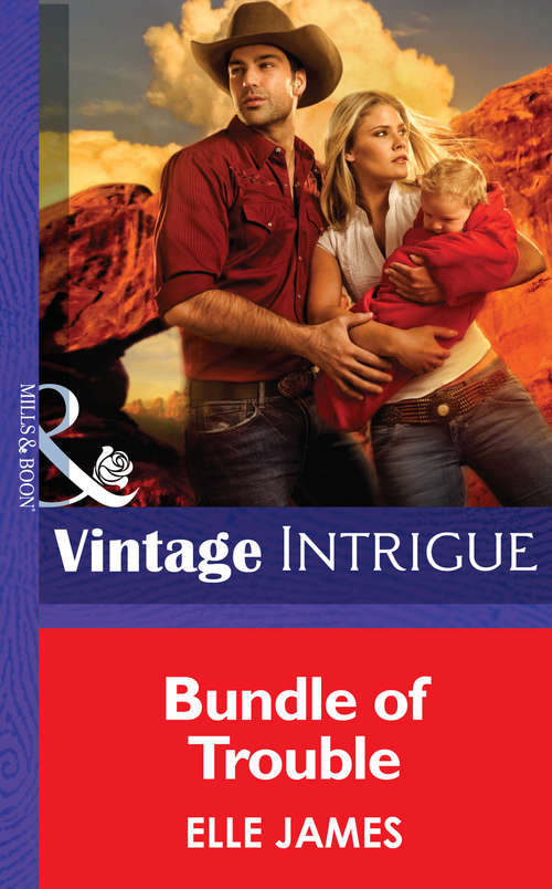 Book cover of Bundle of Trouble (ePub First edition) (Mills And Boon Intrigue Ser.)