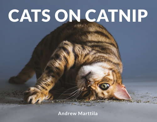 Book cover of Cats on Catnip: A Grow-your-own Catnip Kit (Miniature Editions Ser.)