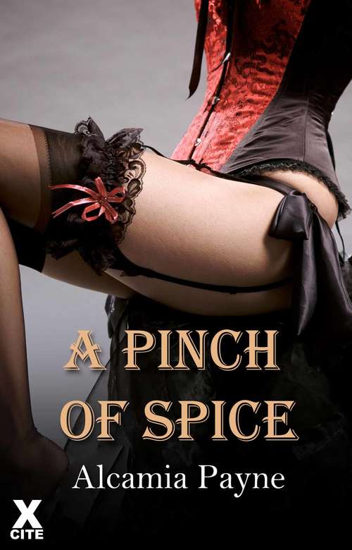 Book cover of A Pinch of Spice