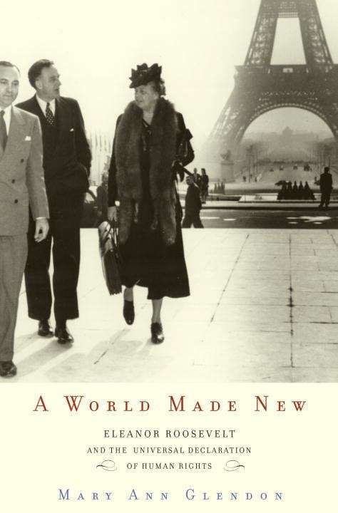 Book cover of A World Made New: Eleanor Roosevelt And The Universal Declaration Of Human Rights (PDF)