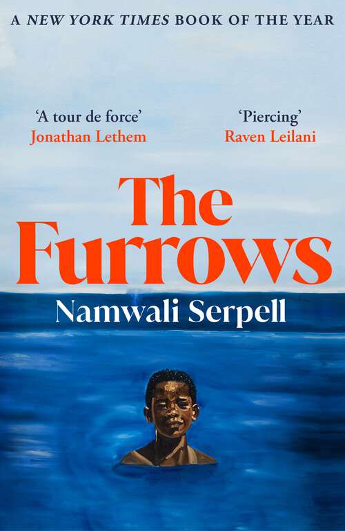 Book cover of The Furrows: From the Prize-winning author of The Old Drift