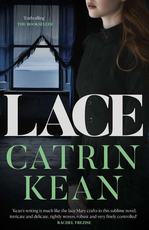 Book cover of Lace