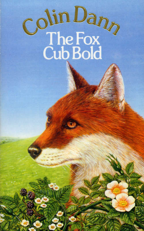 Book cover of The Fox Cub Bold: "in The Grip Of Winter", "fox's Feud" And "fox Cub Bold" (Red Fox Older Fiction Ser.)