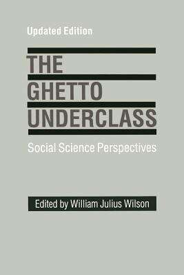 Book cover of The Ghetto Underclass (PDF): Social Science Perspectives