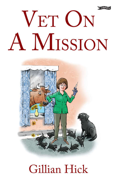 Book cover of Vet On A Mission