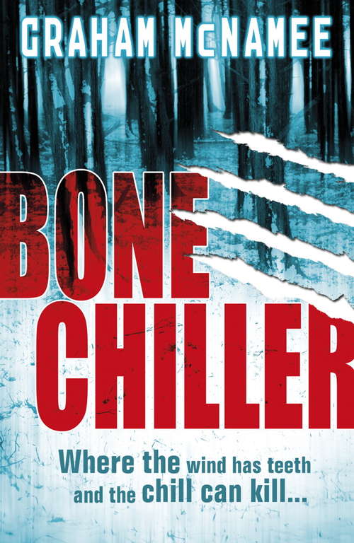 Book cover of Bonechiller