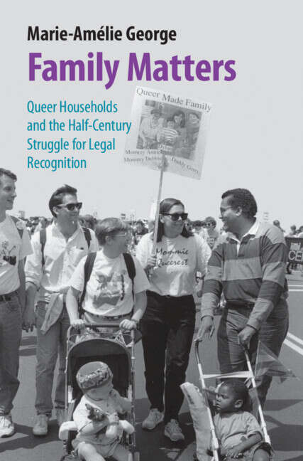 Book cover of Family Matters: Queer Households and the Half-Century Struggle for Legal Recognition (Studies in Legal History)