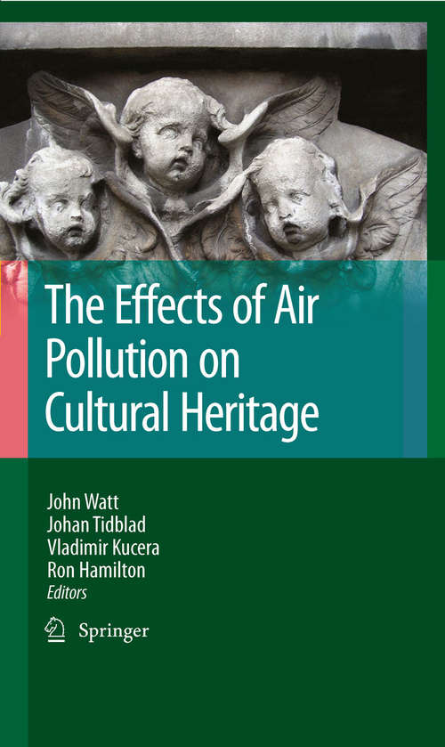 Book cover of The Effects of Air Pollution on Cultural Heritage (2009)