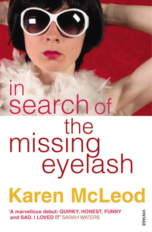 Book cover of In Search of the Missing Eyelash