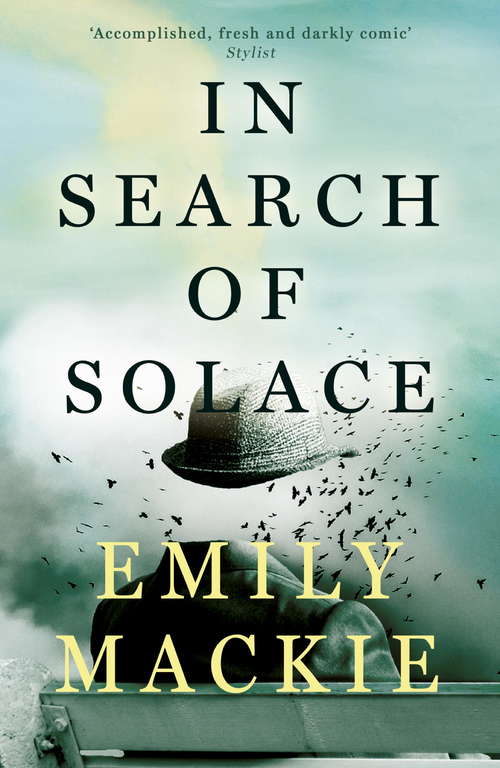 Book cover of In Search of Solace