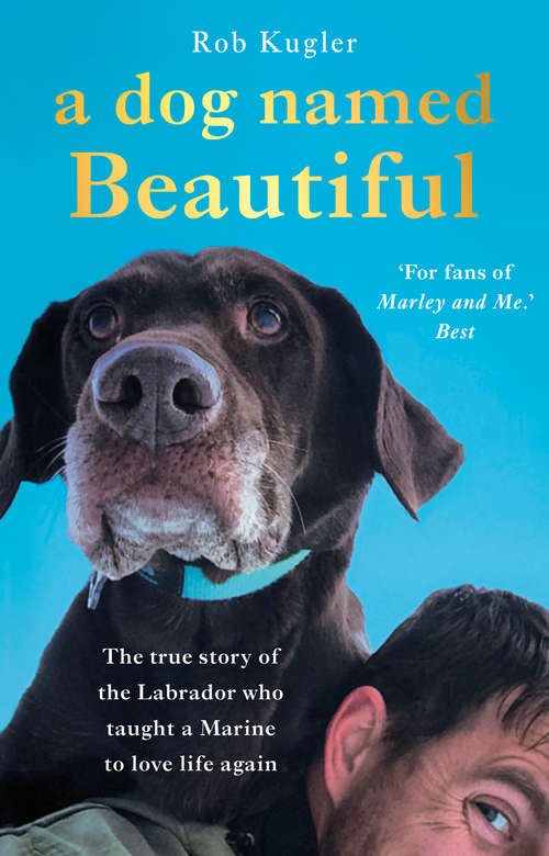 Book cover of A Dog Named Beautiful: The true story of the Labrador who taught a Marine to love life again