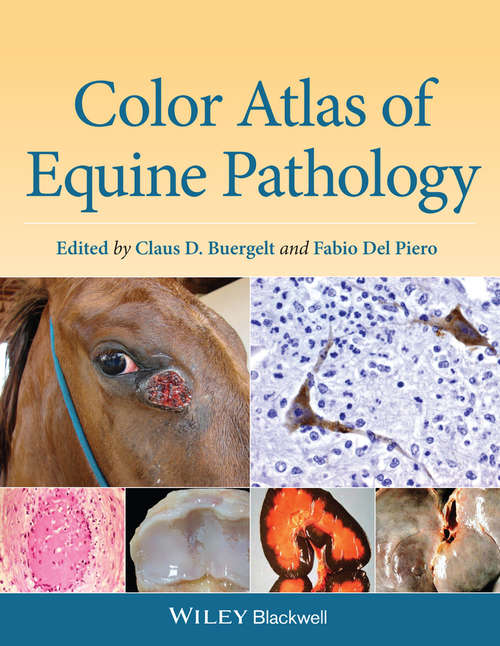 Book cover of Color Atlas of Equine Pathology