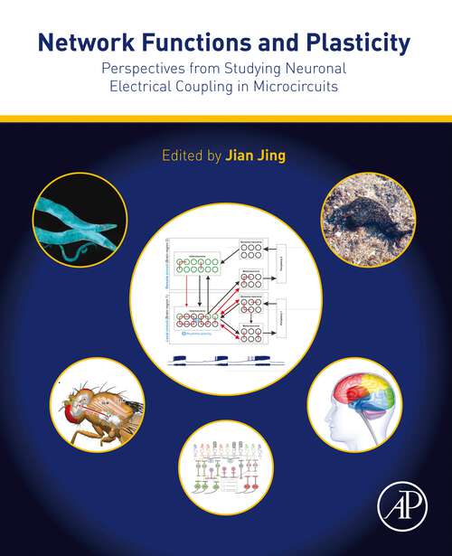 Book cover of Network Functions and Plasticity: Perspectives from Studying Neuronal Electrical Coupling in Microcircuits