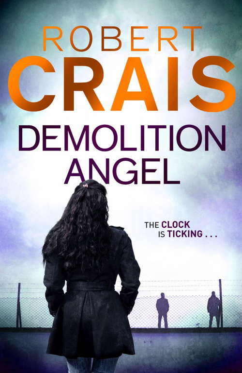 Book cover of Demolition Angel: A Novel (2)