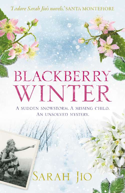 Book cover of Blackberry Winter