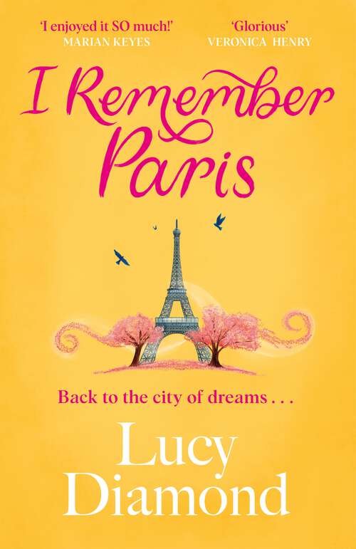Book cover of I Remember Paris: Preorder the new novel now!