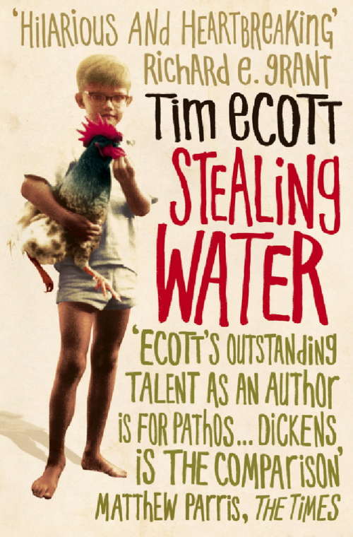 Book cover of Stealing Water: A Secret Life In An African City