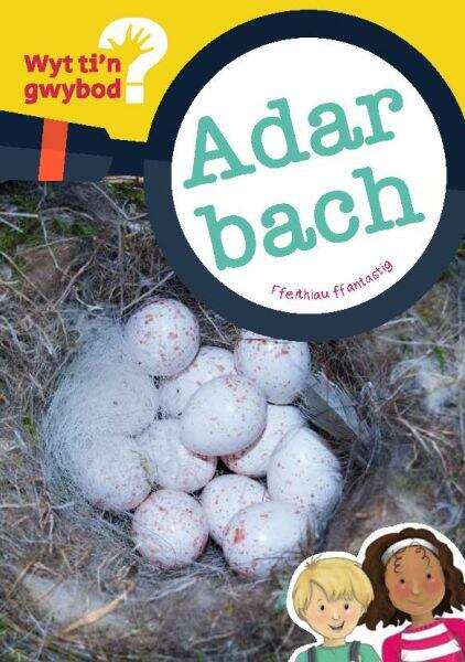 Book cover of Adar Bach (Cyfres Wyt Ti'n Gwybod? #1)