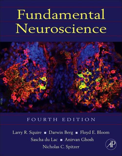 Book cover of Fundamental Neuroscience (4)