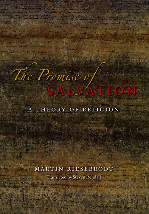 Book cover of The Promise of Salvation: A Theory of Religion