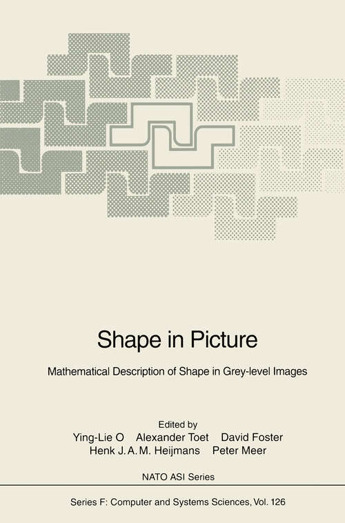 Book cover of Shape in Picture: Mathematical Description of Shape in Grey-level Images (1994) (NATO ASI Subseries F: #126)