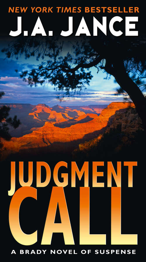 Book cover of Judgment Call (ePub edition) (Joanna Brady Mystery Ser. #15)