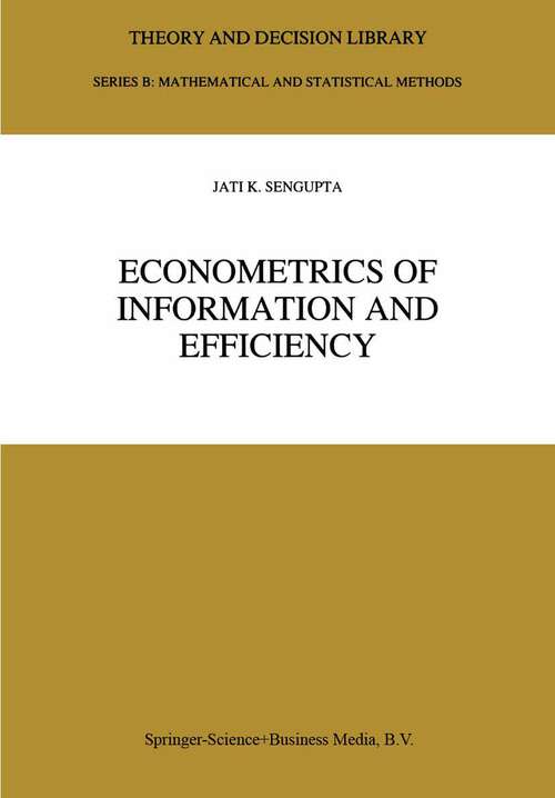 Book cover of Econometrics of Information and Efficiency (1993) (Theory and Decision Library B #25)