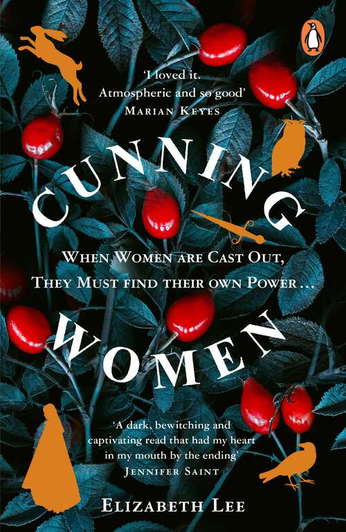 Book cover of Cunning Women: A haunting tale of forbidden love