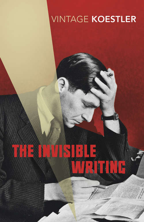 Book cover of The Invisible Writing