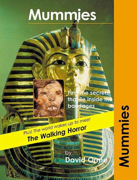 Book cover of Mummies (Trailblazers Ser.)