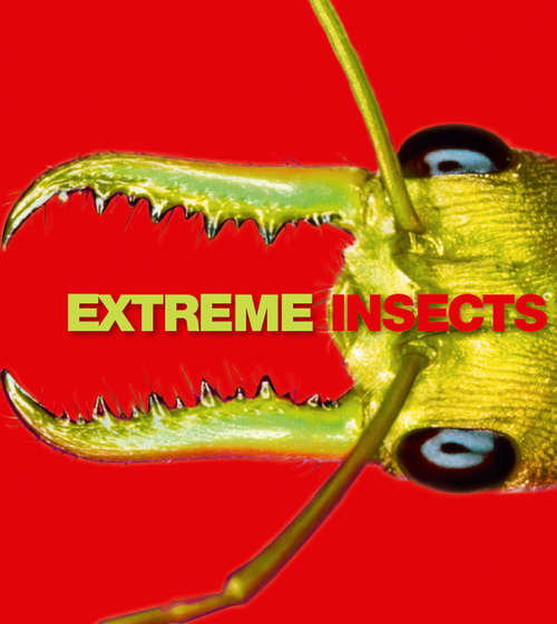 Book cover of Extreme Insects (ePub edition)