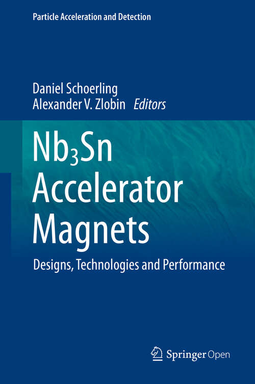 Book cover of Nb3Sn Accelerator Magnets: Designs, Technologies and Performance (1st ed. 2019) (Particle Acceleration and Detection)