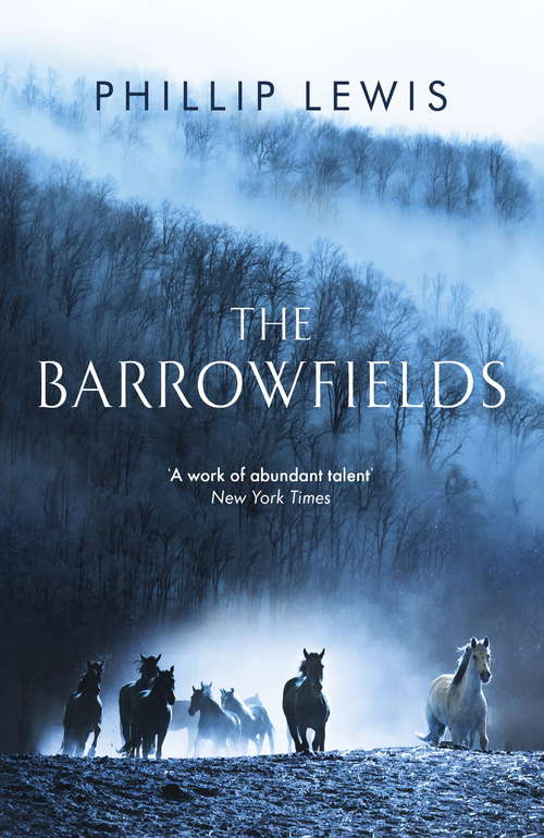 Book cover of The Barrowfields: A Novel