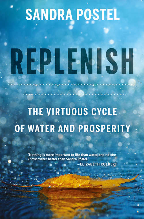 Book cover of Replenish: The Virtuous Cycle of Water and Prosperity (1st ed. 2017)