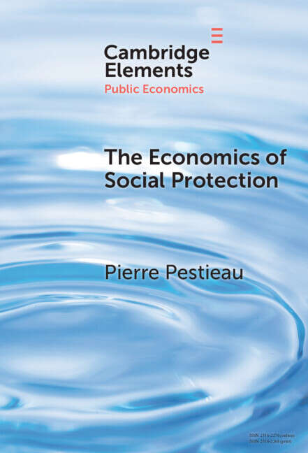Book cover of The Economics of Social Protection (Elements in Public Economics)