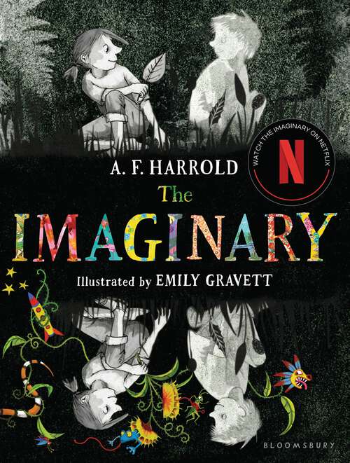 Book cover of The Imaginary