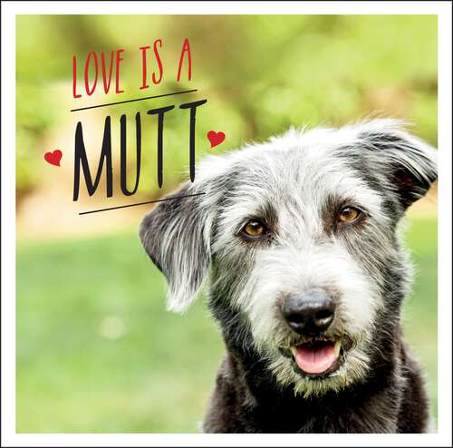 Book cover of Love is a Mutt: A Dog-Tastic Celebration of the World's Cutest Mixed and Cross Breeds