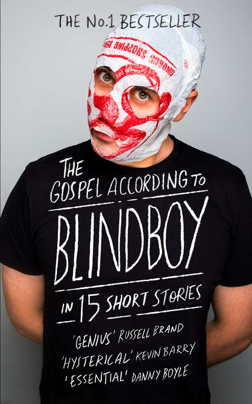 Book cover of The Gospel According to Blindboy in 15 Short Stories